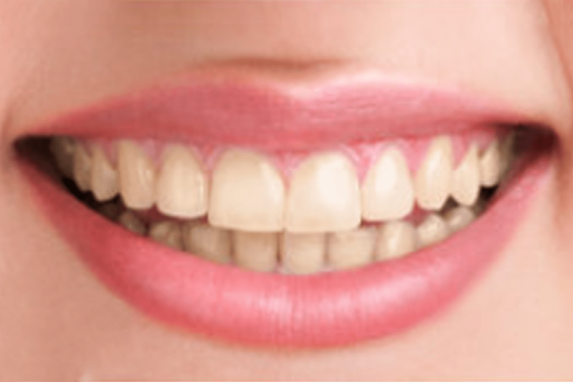 Dentista Odontólogo Ayala Sola